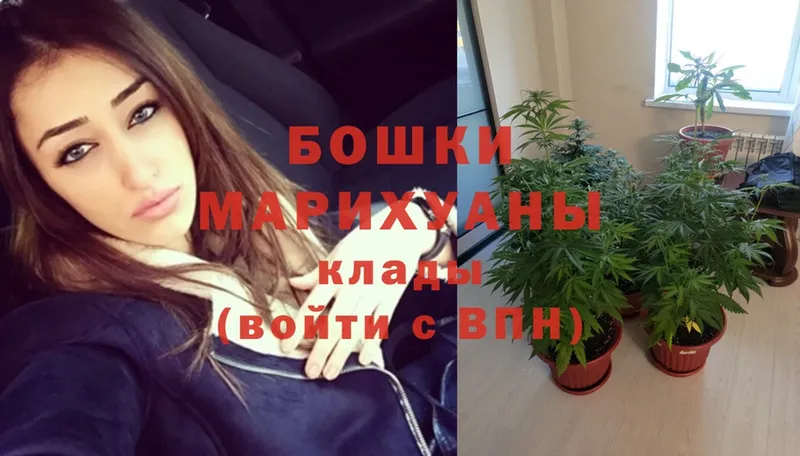 Шишки марихуана SATIVA & INDICA  Яровое 